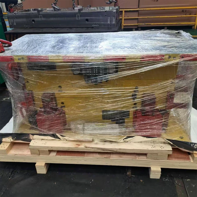 mold_packing_4_navimold
